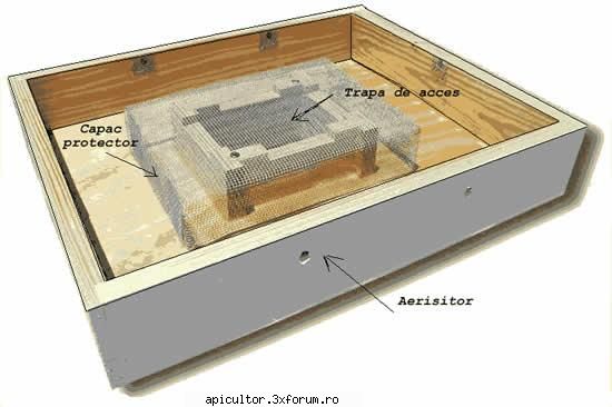 schite stupi - prisecarul - SCHITE SI PLANURI