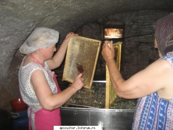 stupina mea - fetele la treaba - POZE