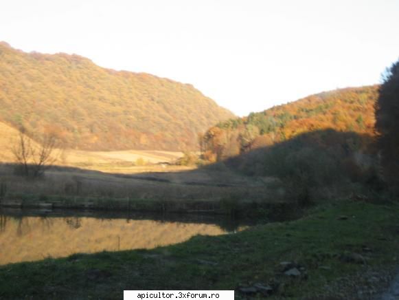 stupina mea - orbanstefan64 - POZE