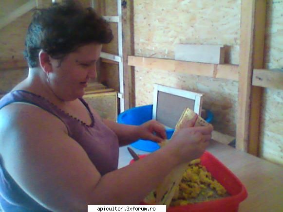 stupina mea - şi acum poze de anul trecut , cules la salc�m - STUPUL VERTICAL CU MAGAZIN