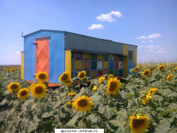vand pavilion apicol - aurelian.moroianu - VANZARI ECHIPAMENTE APICOLE