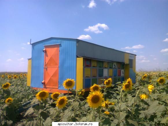 vand pavilion apicol - aurelian.moroianu - VANZARI ECHIPAMENTE APICOLE
